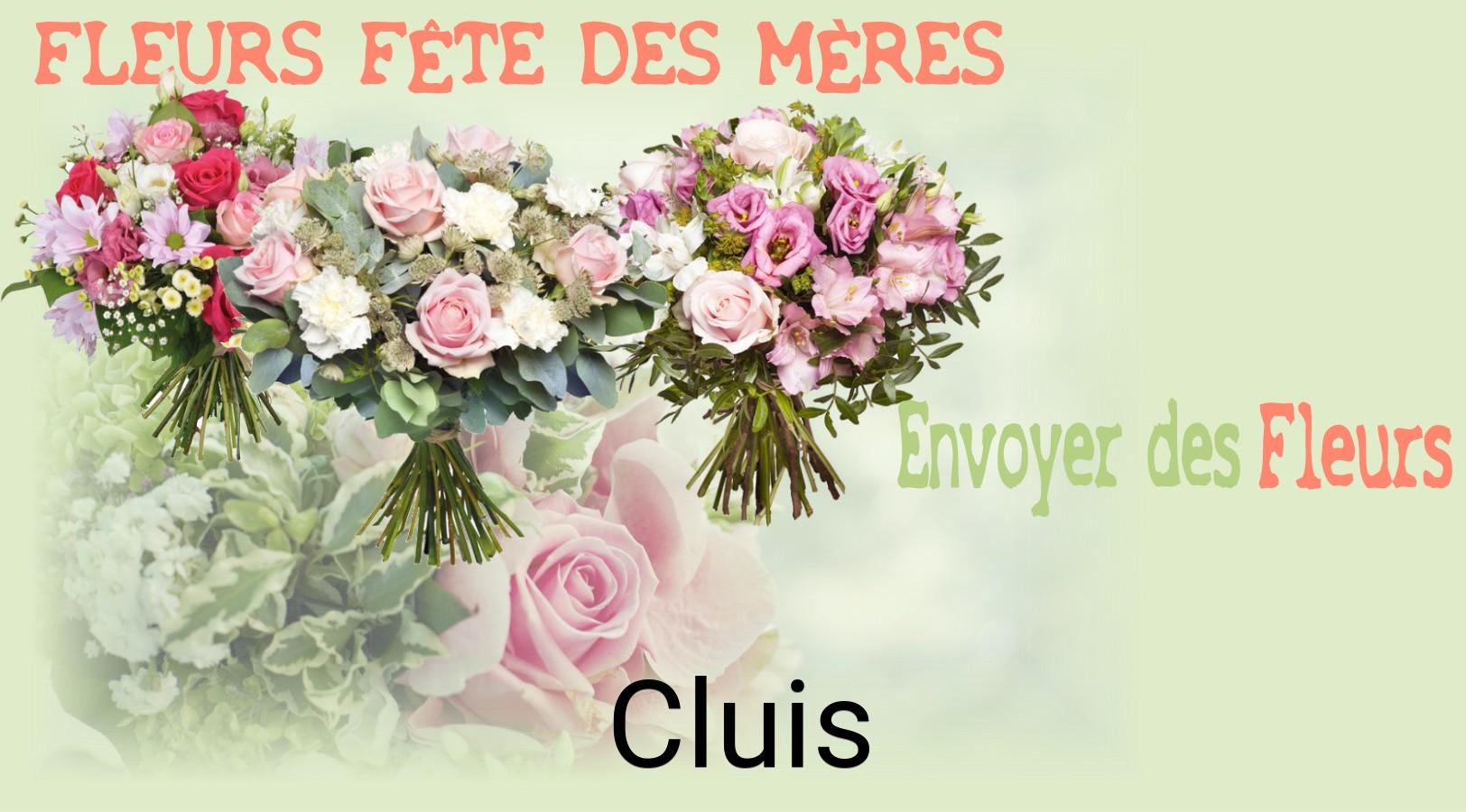 Bouquet de Fête des Mères livré à Cluis